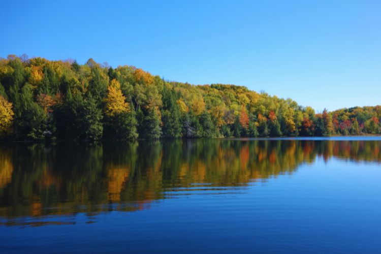 Bild eines Sees mit Wald und Bäumen in Herbstfarben im Hintergrund als Symbolbild für Klarheit der Gefühle.