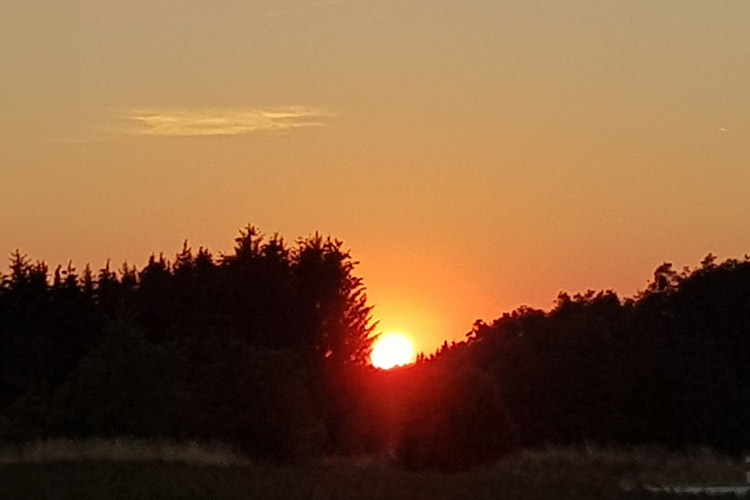 Sonnenuntergang über der Silhouette des Waldes als Symbolbild für "12 von 12".