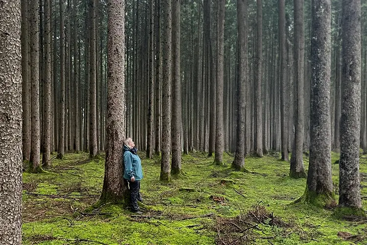 Märchen­pädagogin & Naturtherapeutin Elke Fischer-Wagemann lehnt im Wald am Stamm einer Tanne und schaut nach oben in die Ferne.