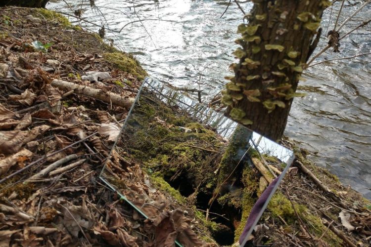 Spiegel an einen Baum gelehnt