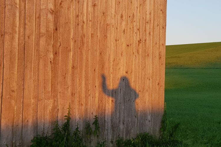 Schatten einer winkenden Frau auf einer Schuppenwand.