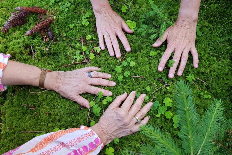 Vier Hände berühren Moos auf Waldboden