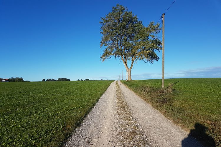 gerader Feldweg
